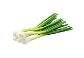 onion png transparent background