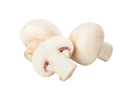 mushroom png transparent background