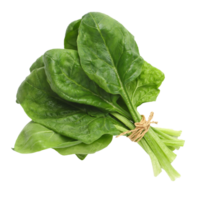 spinach png transparent background