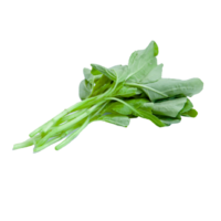 spinach png transparent background