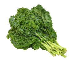 spinach png transparent background