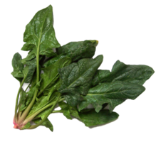 spinach png transparent background