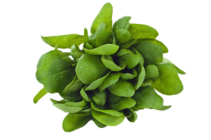 spinach png transparent background