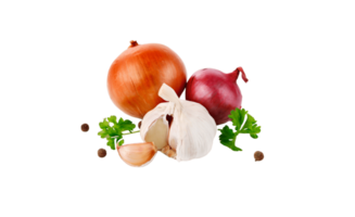 onion png transparent background