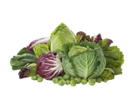 cabbage png transparent background