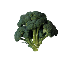 broccoli PNG transparant achtergrond