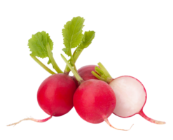 radish png transparent background