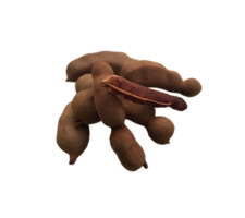 tamarind png transparent bakgrund