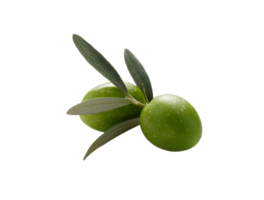 Olive png transparent Hintergrund