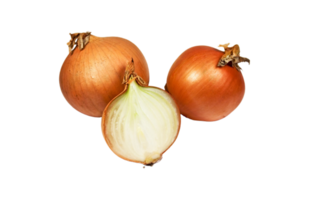 onion png transparent background