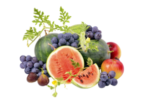 gemengd fruit transparant achtergrond png