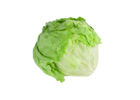 cabbage png transparent background