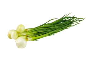 onion png transparent background