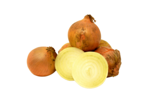 onion png transparent background