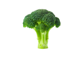 Broccoli png transparent background