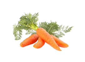 carrot png transparent background