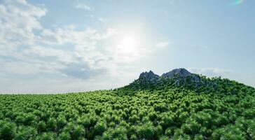 The sharp-shaped mountain is surrounded by a dense forest of lush trees with a backdrop of the sky and clouds. 3d rendering. photo