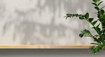 wall mockup with green plant,Green wall and shelf. 3D rendering. photo