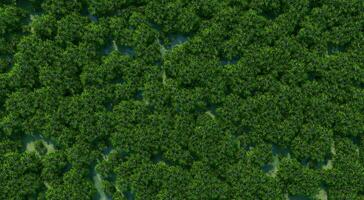parte superior ver fotografía de un bosque lleno con verde arboles dispersado a lo largo de el área, demostrando sus riqueza y abundancia.3d representación. foto