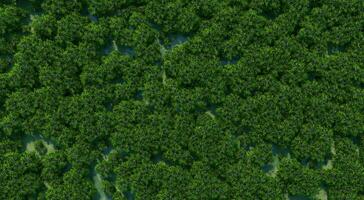 Top view photograph of a forest filled with green trees scattered throughout the area, demonstrating its richness and abundance.3d rendering. photo