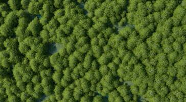 Top view photograph of a forest filled with green trees scattered throughout the area, demonstrating its richness and abundance.3d rendering. photo