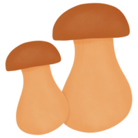 Herbst süß Pilz png