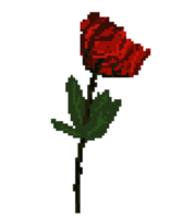 pretty red rose pixel illustration png