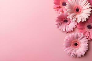 Beautiful pink gerbera flowers on pink background.Generative AI. photo