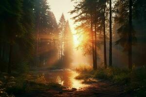 Sunrise in a forest aesthetic background.Generative AI photo