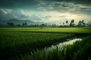 foto de un arroz campos.generativos ai