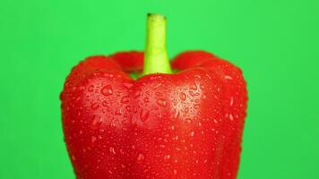 Green screen, bell pepper, red bell pepper on green background, chroma key, chroma key of pepper video