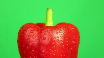 Red pepper on green background video