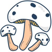 ilustração do cogumelo png
