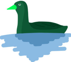 illustration of a green duck png