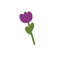 violet rose tulipes png