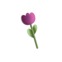 Purper roze tulpen png