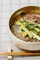 Yeolmunaengmyeon, korean style Buckwheat Noodles with YoungSummer Radish Kimchi, This dish features cold noodles in kimchi soup that is made by mixing salted young radish photo