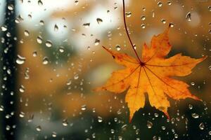 raindrops and fallen maple leaves on the window weather characteristic autumn. generative ai. photo