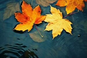 bright yellow-orange fallen maple leaves in dark blue water. Autumn natural background. autumn atmosphere image. symbol of fall season. generative ai. photo