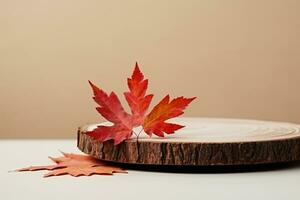 interior design, Wooden podium with autumn red leaves, minimal aesthetic background for product presentation. created generative ai. photo