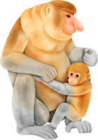 Watercolor animal. Proboscis Monkey png