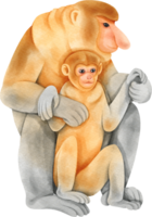 Watercolor jungle wildlife. Proboscis Monkey png