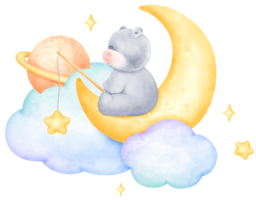 Baby Animal and Moon png