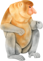 Proboscis Monkey illustration png