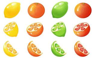 Cartoon style citrus fruit collection vector