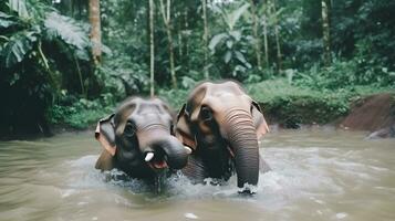 dos bebé elefantes a el corriente en selva. foto