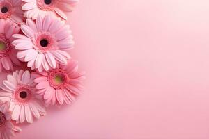Beautiful pink gerbera flowers on pink background.Generative AI. photo