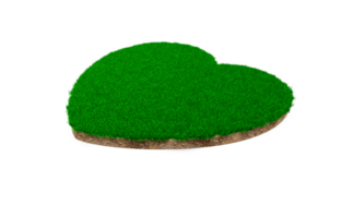 seção transversal da geologia da terra do solo da forma do coração com grama verde, lama da terra cortada ilustração 3d isolada png