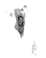 bahrain mapa bahrain bandeira sombreado alívio cor altura mapa 3d ilustração png