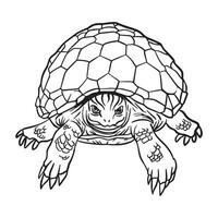 Turtle Outline Art vector
